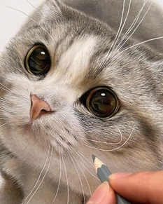 Puszyste, duże oczy i urocze - malowane koty przez artystę z Japonii