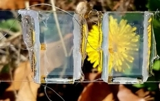 Від будинку до смартфона: південнокорейські вчені розробили універсальні сонячні панелі