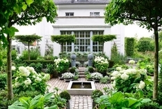 Садівництво: експерти розповіли про своє хобі на прикладі білого саду