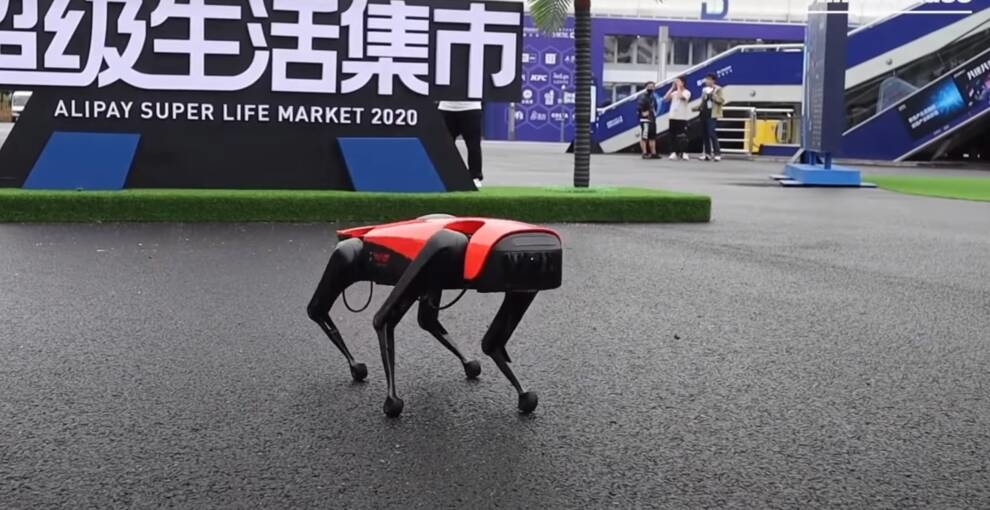 A dog that does not need to be walked: the Chinese tested a new robot