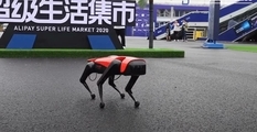 Собака, которую не нужно выгуливать: китайцы протестировали нового робота