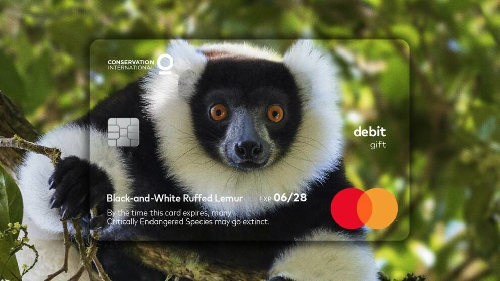 Mastercard на примере пластиковых карт показали, что некоторые виды животных исчезают