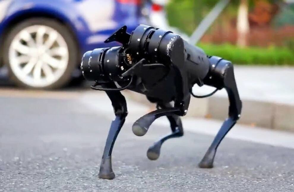 Follows the owner and brings water - a new robot dog from Chinese designers