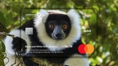 Mastercard na przykładzie kart plastikowych pokazał, że niektóre gatunki zwierząt znikają