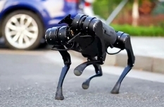Podąża za właścicielem i przynosi wodę - nowy pies robot od chińskich projektantów