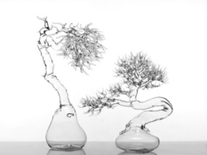 Glass trees by Simone Crestani