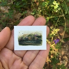 Krajobrazu miniatury Leigh Anna Newell