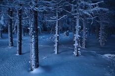 Śnieżne zdjęcia Kilian Schoenberger