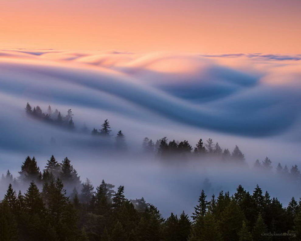 Туман на снимках Nick Steinberg