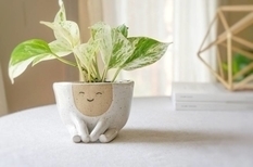 Cute plant pots