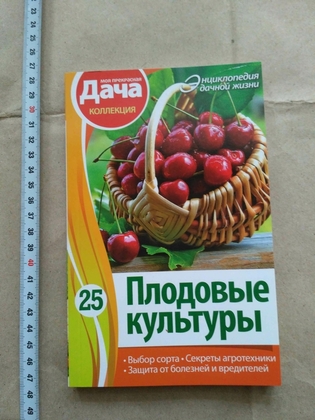 Ооо Дачная Энциклопедия Интернет Магазин