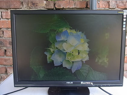 Монітор ASUS VW22O 22 Дюймів з Німеччини