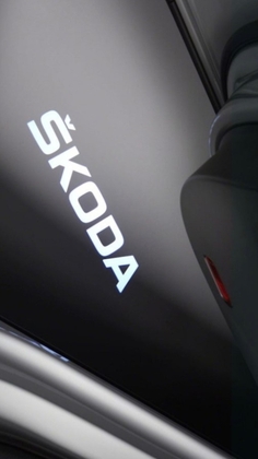 Проектори підсвітки дверей Skoda (2 шт)