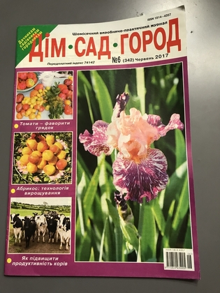 Журнал Дім Сад Город №6 2017