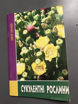 Квіти України Сукулентні рослини