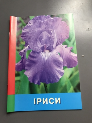 Іриси