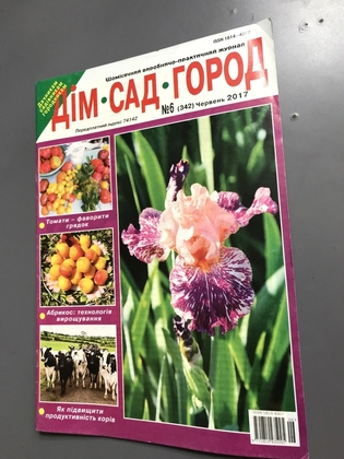 Журнал Дім Сад Город №6 2017