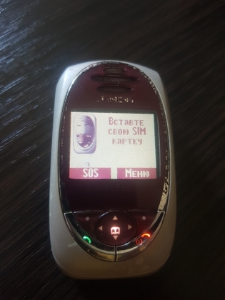 Siemens SL55