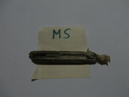 Комплект мітчиків м5