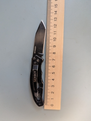 Ніж Gerber paraframe mini
