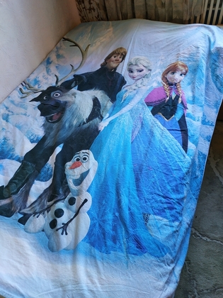 Півковдра полуторна FROZEN. Пододеяльник бязь 200 х 146 см