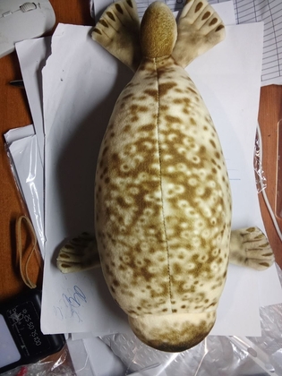 Тюлень коричневий 35 см