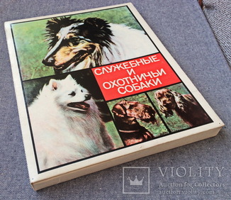 Спички, сувенирный набор "Служебные и охотничьи собаки"