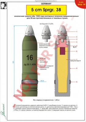 5cm_Sprgr_38.jpg