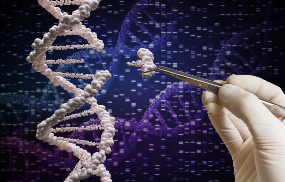 Вчені з Техасса виявили ген, за допомогою якого можна худнути