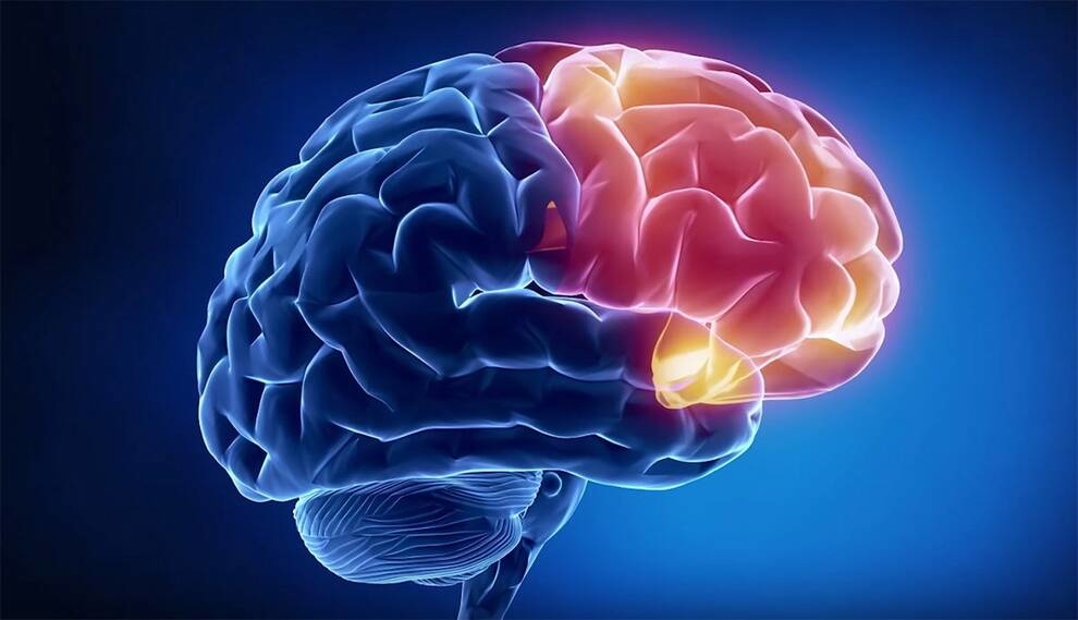 Naukowcy stworzyli miękki implant mózgu, który nie spowoduje odrzucenia