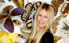 Летюче зібрання: Клаудія Шифер колекціонує комах