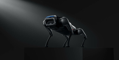 Xiaomi showed a robot dog that is capable of twisting somersaults