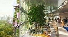 A skyscraper with a farm for growing organic products to appear in Shenzhen