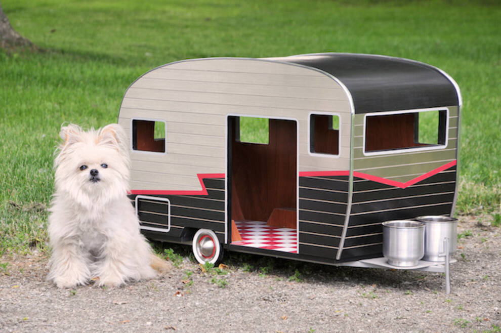 Американский архитектор создал дом для собак на колесах