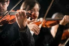 Symbiosis of music and science: scientists have shown a way to synchronize people using the example of violinists