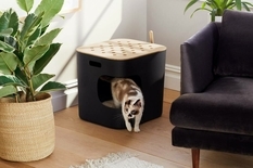 Stylish home accessories for cats: Jason Wu collection