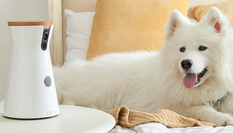 Камера наблюдения, которая накормит вашу собаку: мир умных гаджетов