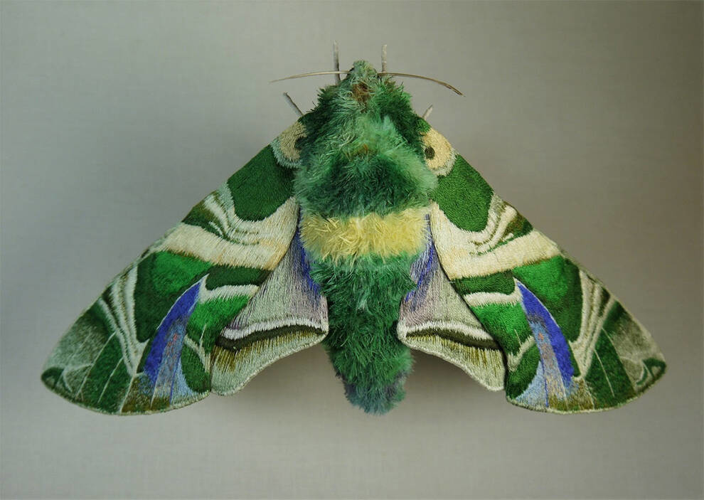 Entomologia w tekstyliach: Amerykanin tworzy z tkaniny ćmy, motyle i cykady