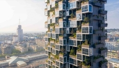 British architects build forest towers in China