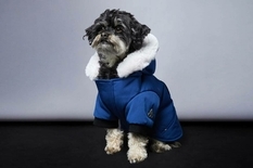 Стильно и комфортно: Moose Knuckles представил новую коллекцию одежды для собак