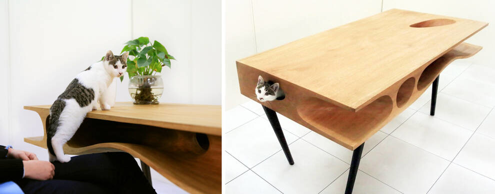 Stół „komputerowy” dla kotów z Ruan Hao